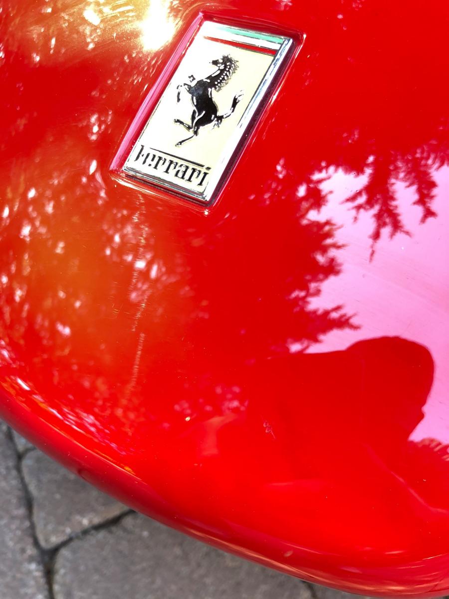 Логотип Ferrari Enzo 2003 года  (фото 88 из 92)